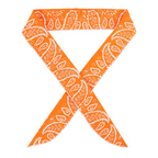 Ice Cooling Neck Wrap – Reusable Cooling Bandana